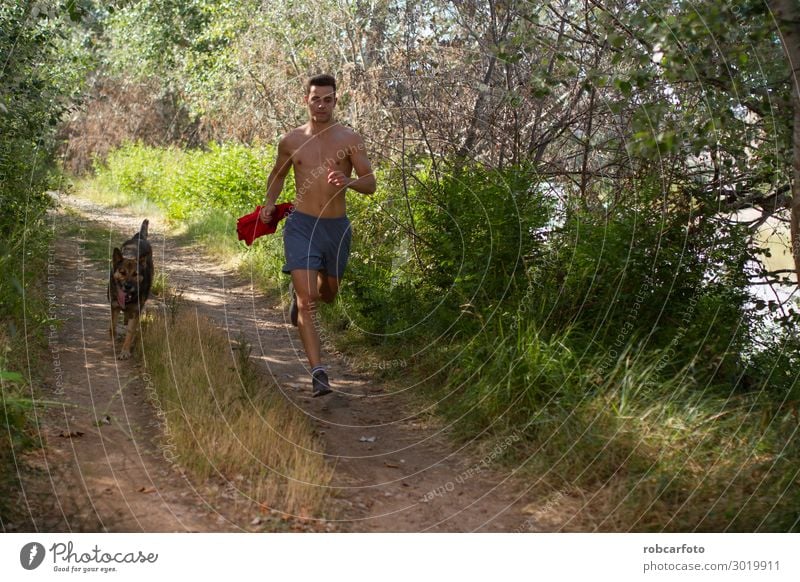 hinüberlaufend Freude Glück Freizeit & Hobby Sommer Sport Joggen Mann Erwachsene Natur Landschaft Tier Himmel Gras Haustier Hund Fitness sportlich Zusammensein