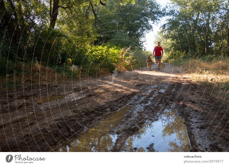 hinüberlaufend Freude Glück Freizeit & Hobby Sommer Sport Joggen Mann Erwachsene Natur Landschaft Tier Himmel Gras Haustier Hund Fitness sportlich Zusammensein