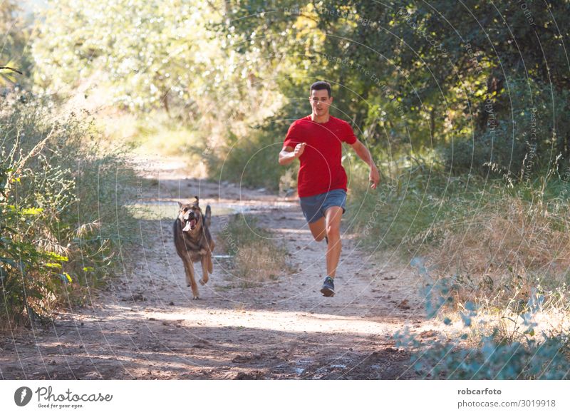 hinüberlaufend Freude Glück Freizeit & Hobby Sommer Sport Joggen Mann Erwachsene Natur Landschaft Tier Himmel Gras Haustier Hund Fitness sportlich Zusammensein