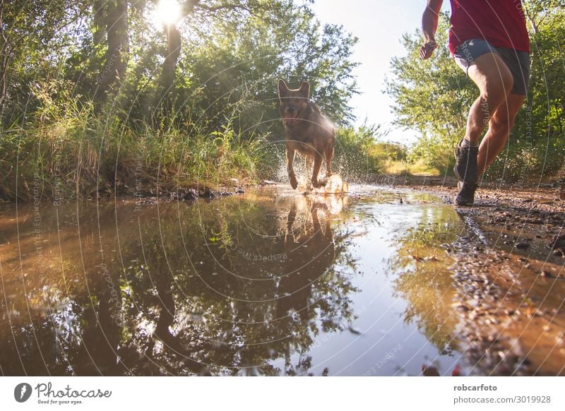 hinüberlaufend Freude Glück Freizeit & Hobby Sommer Sport Joggen Mann Erwachsene Natur Landschaft Tier Himmel Gras Haustier Hund Fitness sportlich Zusammensein