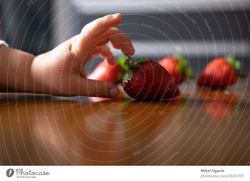 Baby's Hand, die verschiedene Früchte auf einem Holztisch manipuliert. Frucht Essen Spielen Tisch Küche Kind Kindheit Finger Urelemente Neugier braun grün rot