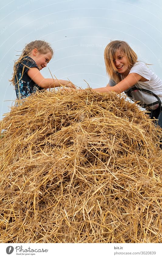 Verloren l die Nadel im Heuhaufen... Spielen Mensch feminin Kind Mädchen Geschwister Schwester Familie & Verwandtschaft Kindheit Umwelt Natur Wiese Feld Freude