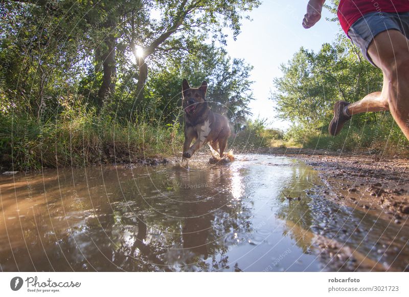 hinüberlaufend Freude Glück Freizeit & Hobby Sommer Sport Joggen Mann Erwachsene Natur Landschaft Tier Himmel Gras Haustier Hund Fitness sportlich Zusammensein