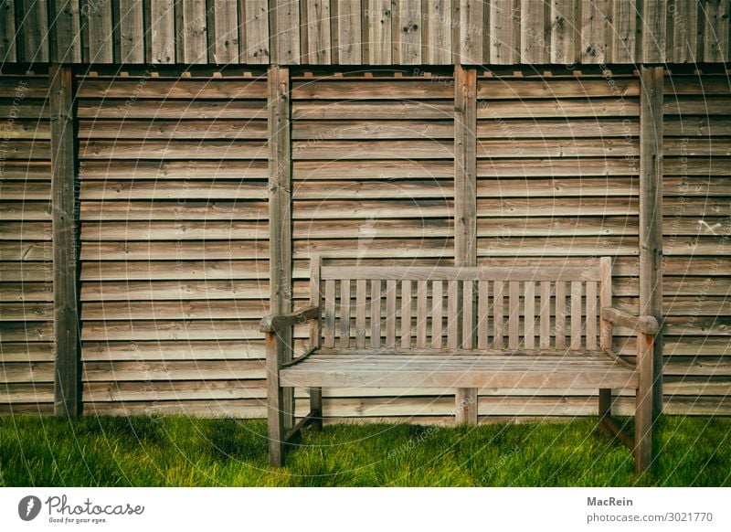 Gartenbank an einem Holzzaun Möbel Wiese braun Holzbank Rasen Menschenleer Außenaufnahme Bank Farbfoto Textfreiraum oben Tag Schatten