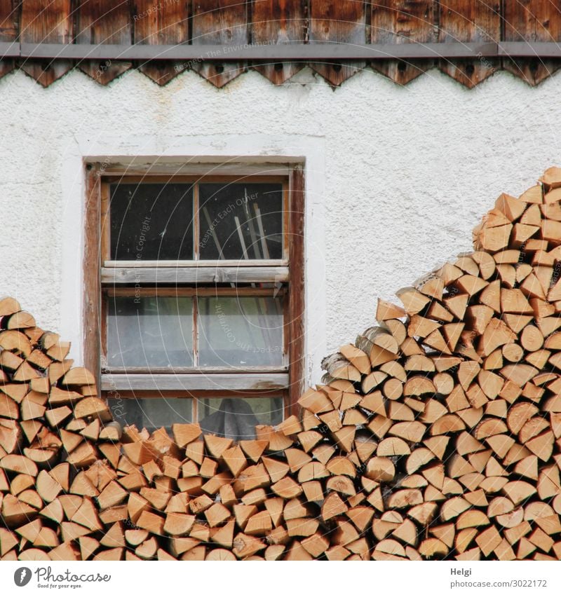 Fassade eines Hauses mit Fenster und viel gestapeltem Brennholz Mauer Wand Holzstapel Stein liegen außergewöhnlich einfach einzigartig braun grau weiß