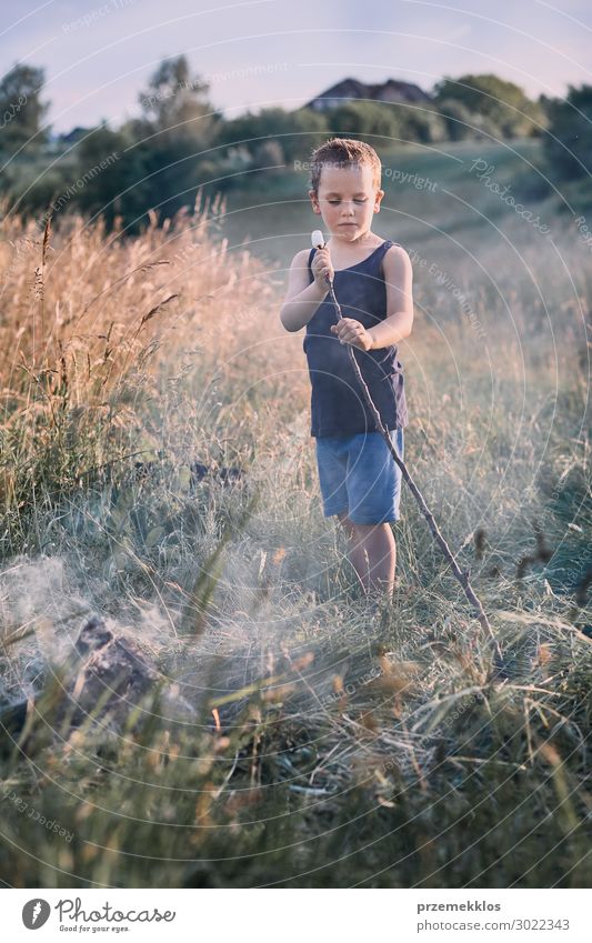 Kleiner Junge, der Marshmallow über einem Lagerfeuer brät. Lifestyle Freude Glück Freizeit & Hobby Ferien & Urlaub & Reisen Sommer Kind Mensch 1 3-8 Jahre