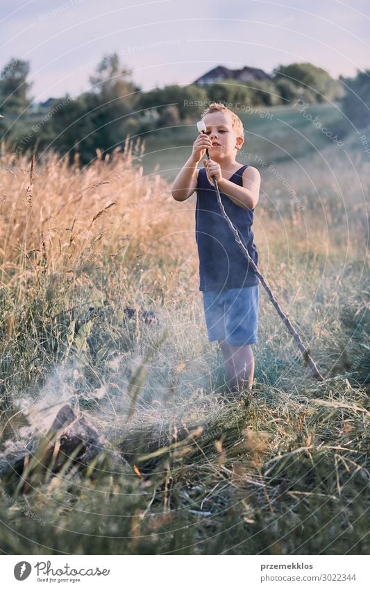 Kleiner Junge, der Marshmallow über einem Lagerfeuer brät. Lifestyle Freude Glück Erholung Freizeit & Hobby Ferien & Urlaub & Reisen Sommer Sommerurlaub Kind