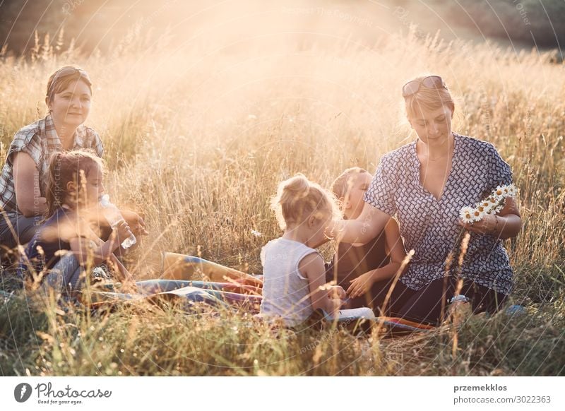 Familie verbringt Zeit zusammen auf einer Wiese Lifestyle Freude Glück Erholung Freizeit & Hobby Ferien & Urlaub & Reisen Sommer Sommerurlaub Kind Mensch