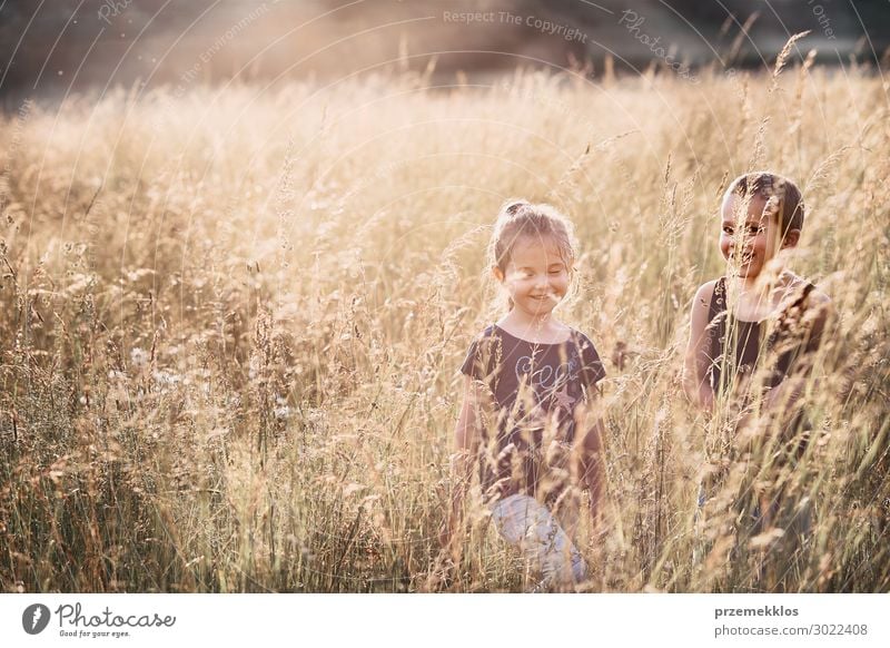 Kleine glückliche lächelnde Kinder, die in einem hohen Gras spielen. Lifestyle Freude Glück Erholung Ferien & Urlaub & Reisen Sommer Sommerurlaub Mensch Mädchen