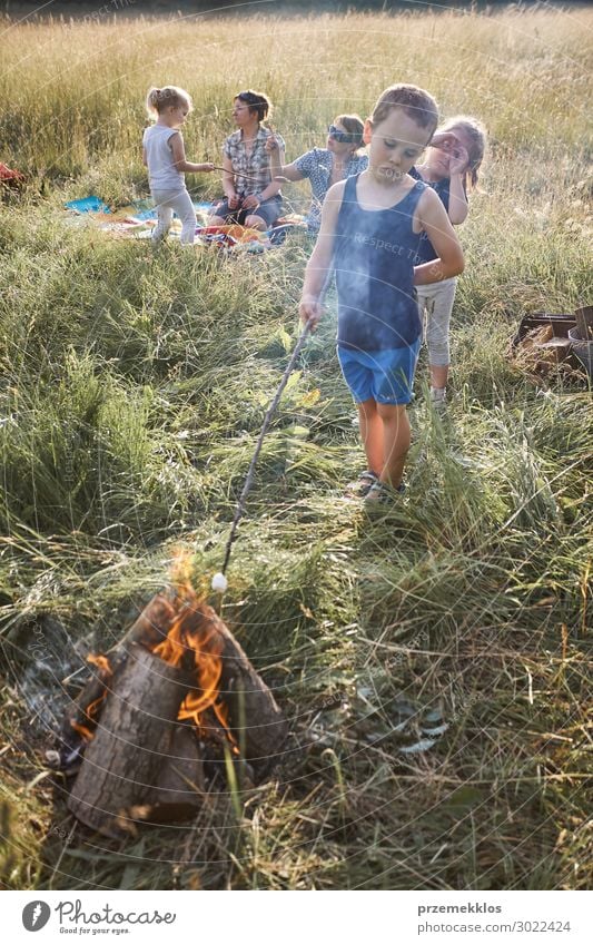 Kleiner Junge, der Marshmallow über einem Lagerfeuer brät. Lifestyle Freude Glück Erholung Ferien & Urlaub & Reisen Sommer Sommerurlaub Kind Mensch Mädchen Frau