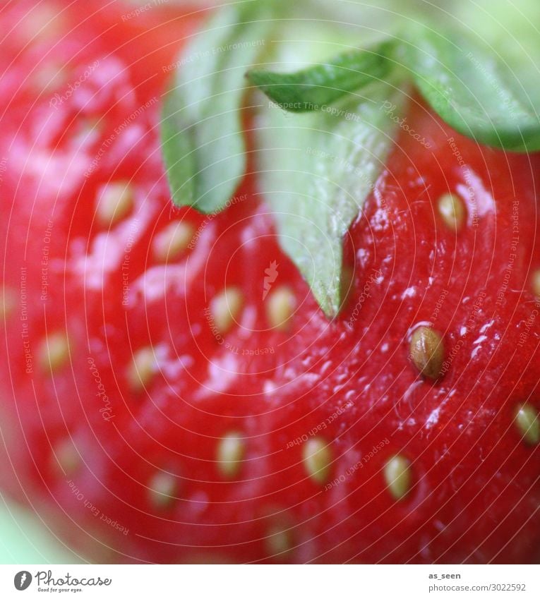 Frisches Früchtchen Frucht Dessert Süßwaren Marmelade Erdbeeren Erdbeermarmelade Erdbeergeschmack Ernährung Essen Frühstück Büffet Brunch Festessen Saft