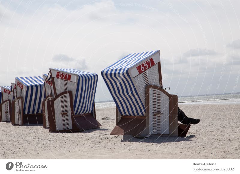 Let us meet at beach chair number 569 ... Wellness Leben Erholung ruhig Schwimmen & Baden Ferien & Urlaub & Reisen Sommerurlaub Meer Natur Landschaft Sand