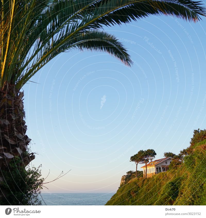 Paradiesisches Plätzchen Ferien & Urlaub & Reisen Tourismus Sommerurlaub Ferienhaus Landschaft Wolkenloser Himmel Horizont Schönes Wetter Palme Dattelpalme