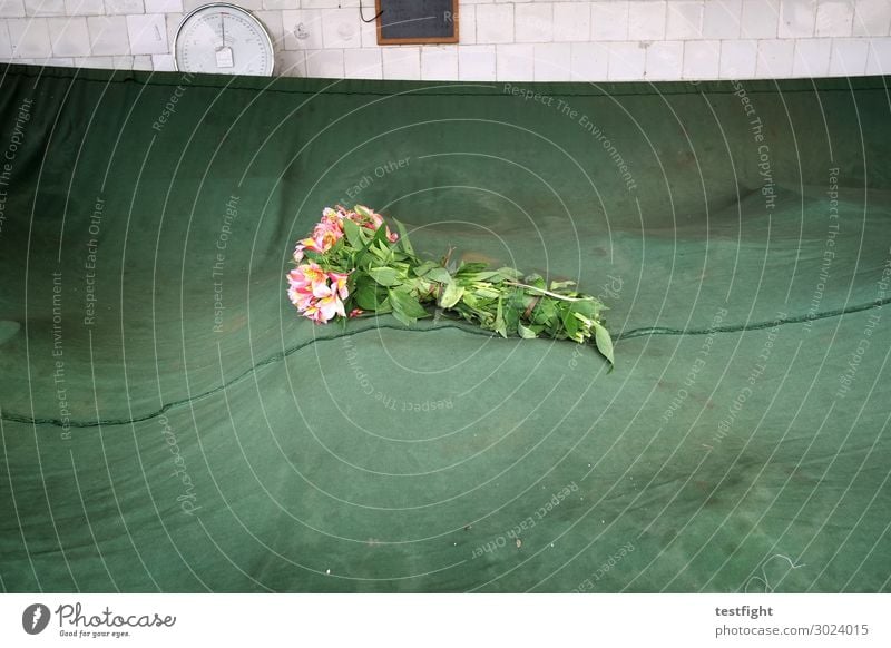 marktstand Beruf Arbeitsplatz Handel Gastronomie Pflanze Blume Blatt Blüte Stadt Marktplatz Fassade Zeichen alt authentisch Trauer Buden u. Stände Farbfoto