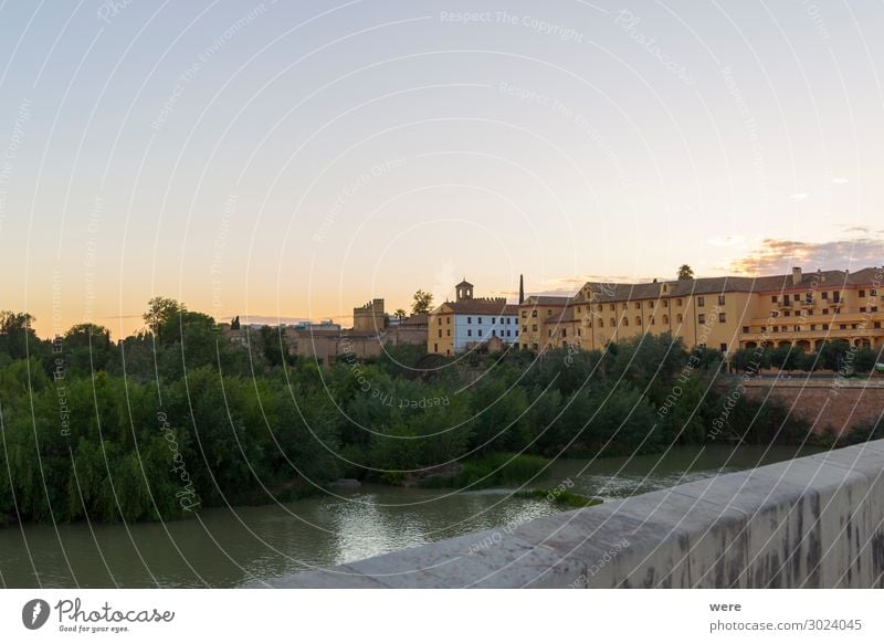 Evening view over the Roman bridge to the old town of Cordoba Stadtzentrum Skyline Palast Fassade Stimmung Idylle Stolz Andalusia Historic facades Holiday Spain