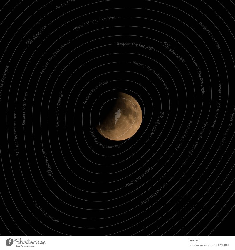 Partielle Mondfinsternis Umwelt Natur nur Himmel Wolkenloser Himmel Nachthimmel Vollmond Sommer Schönes Wetter orange schwarz Vulkankrater Farbfoto