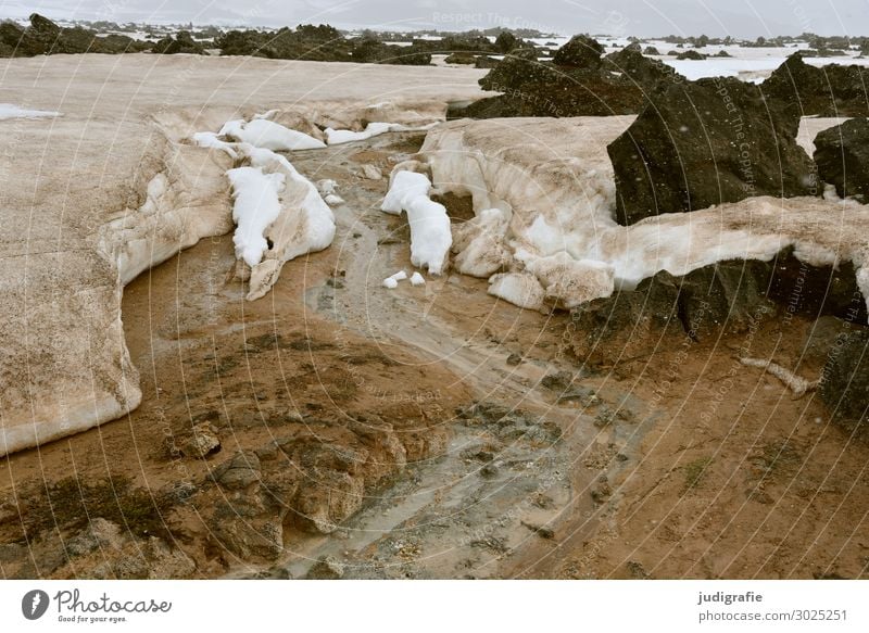 Island Umwelt Natur Landschaft Urelemente Erde Klima Eis Frost Schnee Felsen Berge u. Gebirge Vulkan heiß kalt natürlich wild Abenteuer Ferien & Urlaub & Reisen