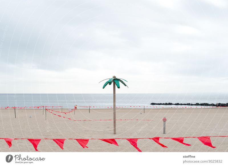 Palmenstrand Sand schlechtes Wetter trist New York City Coney Island Party Ferien & Urlaub & Reisen Traurigkeit leer nichts los fähnchen Wolken Ironie