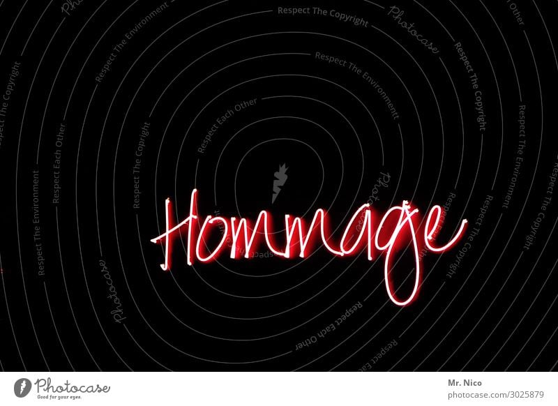 Hommage Kunst rot schwarz hommage Künstler Kunstwerk Typographie Buchstaben Schriftzeichen Neonlicht Leuchtreklame Licht Schilder & Markierungen Leuchtkörper