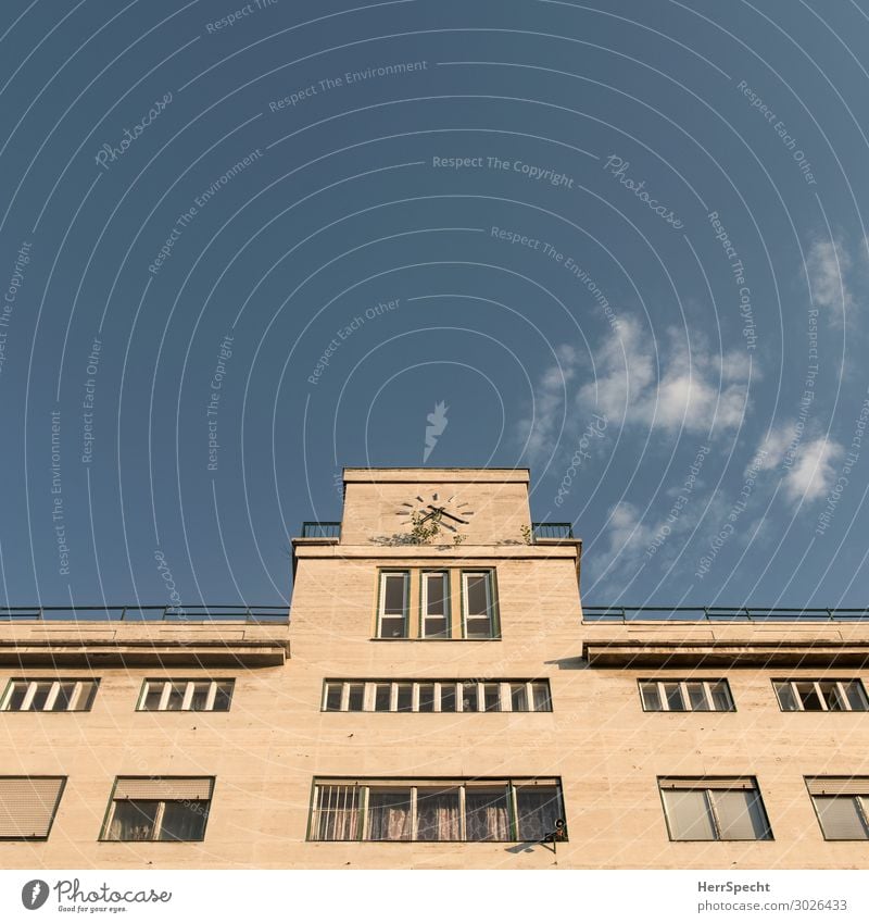 tempus fugit / Wildwuchs Himmel Wolkenloser Himmel Schönes Wetter Pflanze Baum Sträucher Budapest Stadtzentrum Haus Bauwerk Gebäude Architektur Fassade Fenster