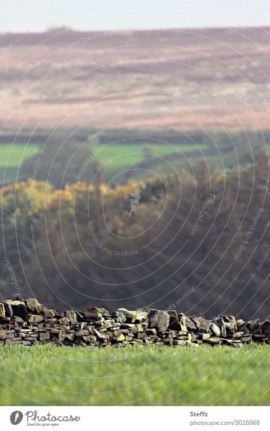 Trockenmauer Abgrenzung Bruchsteinmauer Feldzaun drystone wall ländlich historisch Steinmauer Provinz Hügel Tradition traditionell hügelige Landschaft Zaun alt