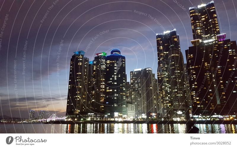 Busan in der Dämmerung Skyline Hochhaus Gebäude Architektur gigantisch Stadt Großstadt Wasserspiegelung Süd Korea Beleuchtung Wolkenkratzer Skyscraper