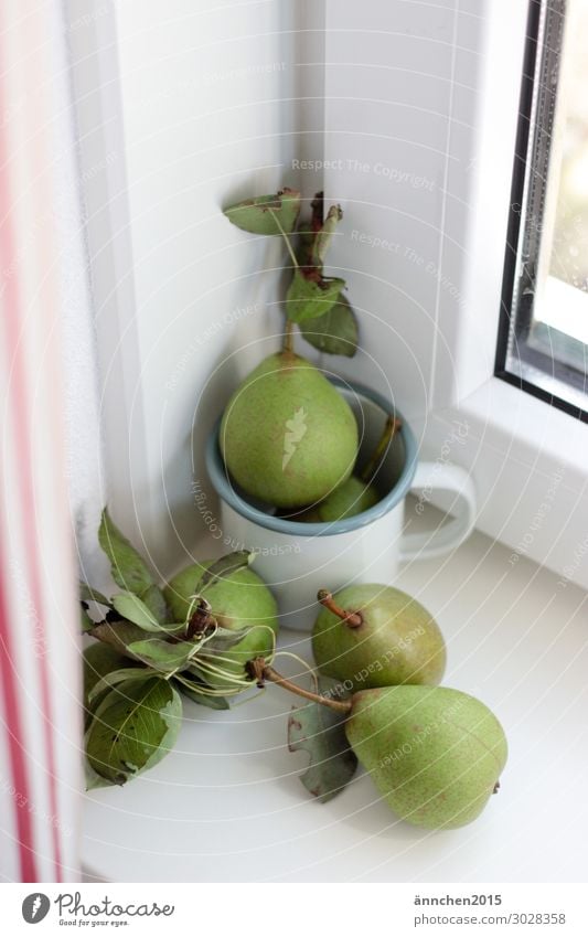 Hallo Herbst Birne Frucht Sommer grün Innenaufnahme Gardine Fenster Tasse Blatt pflücken Gesunde Ernährung Speise Essen weiß rot gestreift Fensterbrett