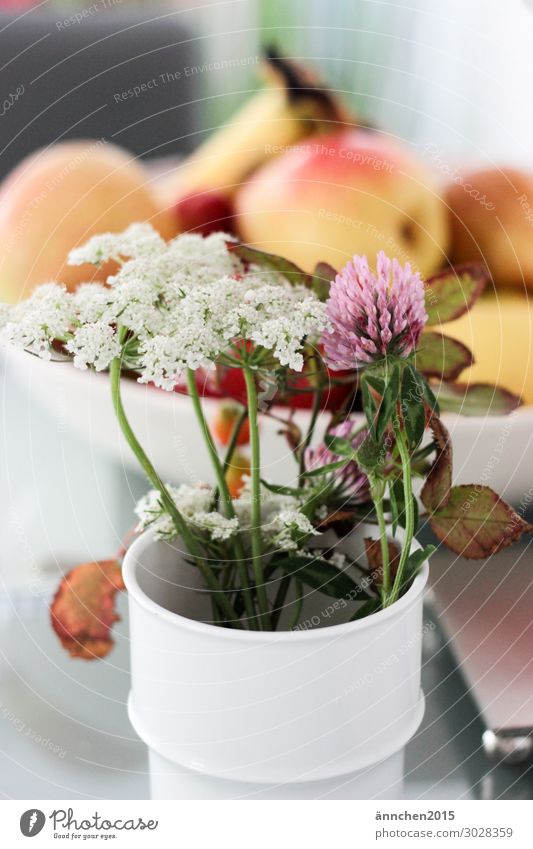 Spätsommer Sommer Herbst pflücken Blume Pflanze Natur Wald Wiese Frucht Blumenstrauß Innenaufnahme weiß rosa grün Vase