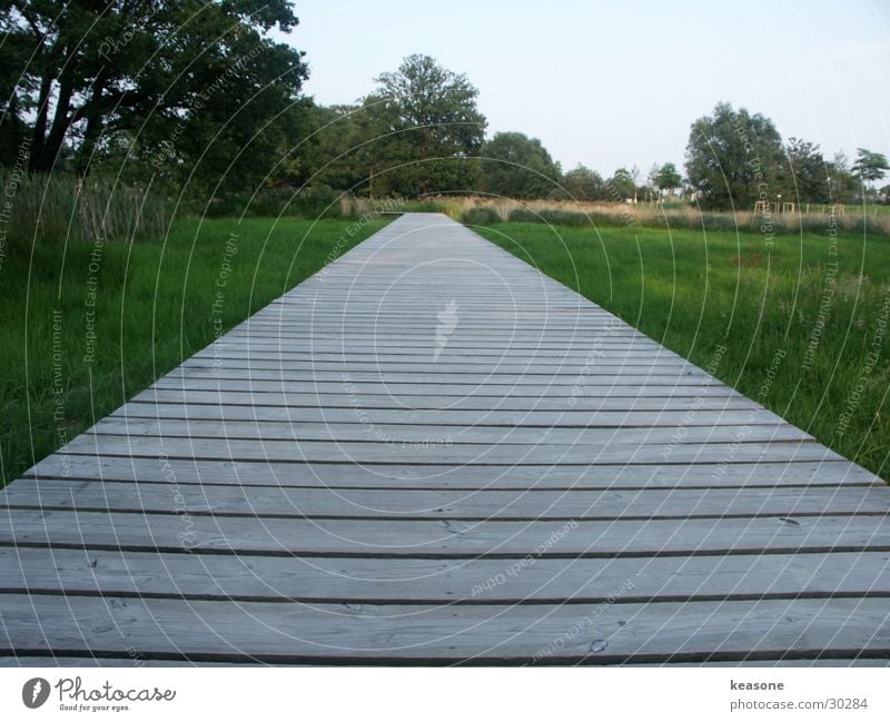 laga wolfsburg Steg Holz grün Gras Schilfrohr Natur Rasen Himmel Linse http://www.keasone.de