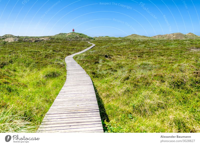 wooden bridge in a meadow, blue sky Wellness Leben Erholung Ferien & Urlaub & Reisen Ferne Freiheit Natur Park Glück Optimismus Zen green natural grass