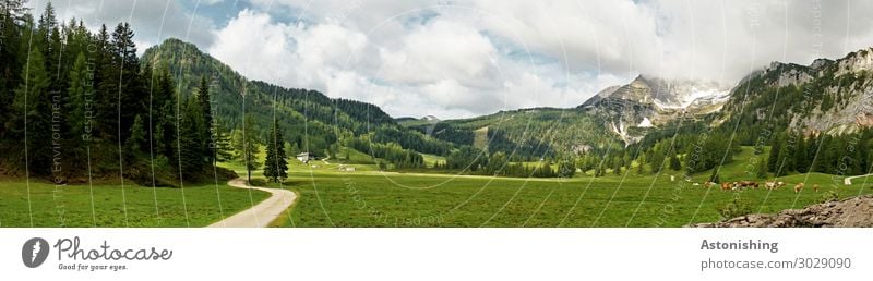 Wurzeralm Umwelt Natur Landschaft Himmel Wolken Horizont Sommer Wetter Pflanze Baum Wald Hügel Alpen Berge u. Gebirge Gipfel Österreich Straße Wege & Pfade Tier