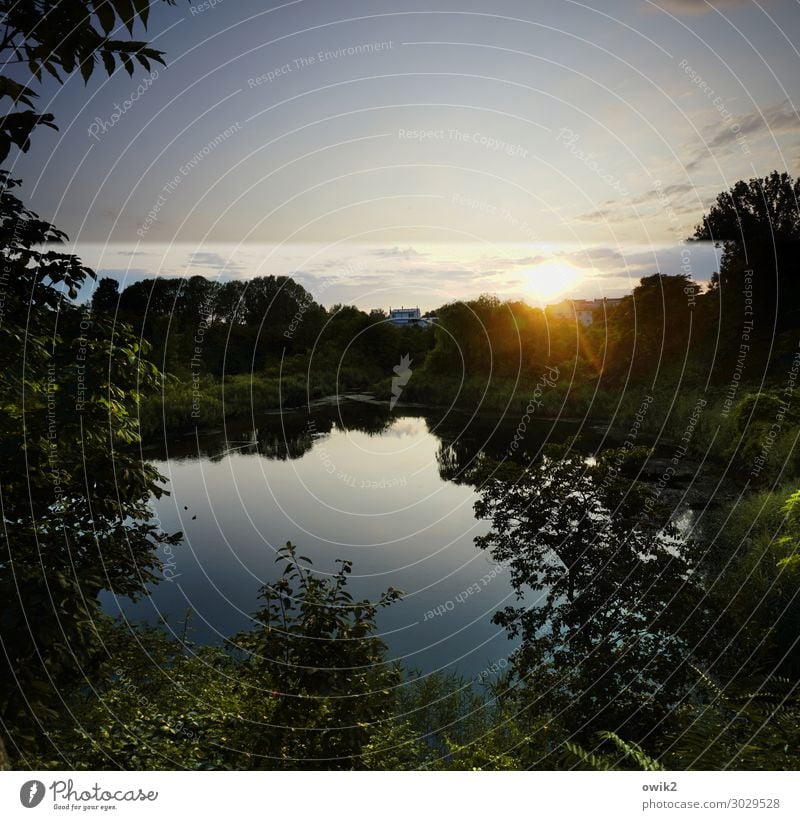 Abendgruß Umwelt Natur Landschaft Pflanze Himmel Wolken Horizont Sonne Sommer Schönes Wetter Baum Sträucher Park Wald Teich See Wien Hauptstadt leuchten