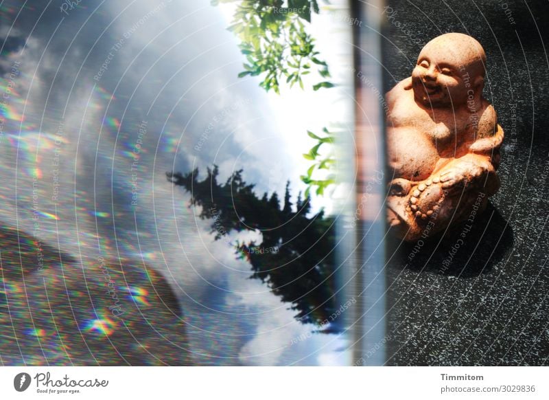 Zur Ruhe kommen Umwelt Natur Himmel Sonnenlicht Schönes Wetter Baum Garten Buddha Statue Glas Blick sitzen blau grün schwarz weiß Gefühle Akzeptanz achtsam