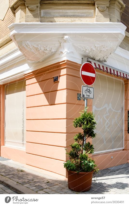 Grünes Eck Stadt Altstadt Haus Fassade Fenster Erker mehrfarbig Straßenecke Gebäude Einbahnstraße Grünpflanze Kübel Straßenrand Hochformat Farbfoto