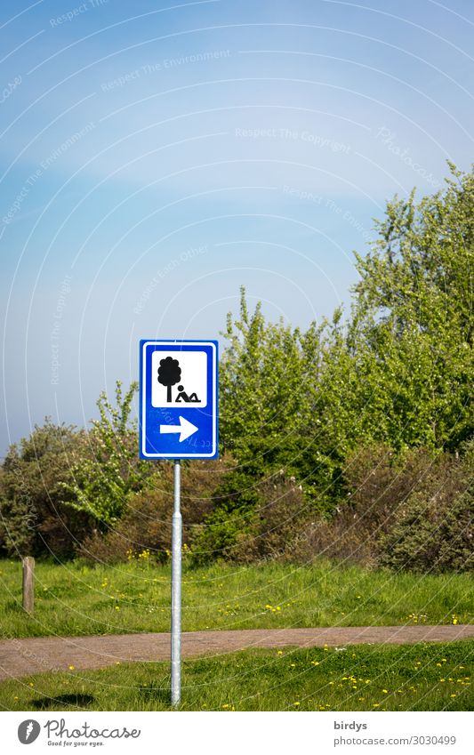 Zielsetzung Erholung ruhig 1 Mensch Natur Wolkenloser Himmel Sommer Schönes Wetter Baum Gras Park Wege & Pfade Fußweg Zeichen Schilder & Markierungen