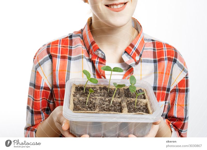 Agronomin, die in den Händen von jungen Setzlingen hält. Lifestyle kaufen Freizeit & Hobby Sommer Veranstaltung Kindererziehung Bildung Studium lernen Student