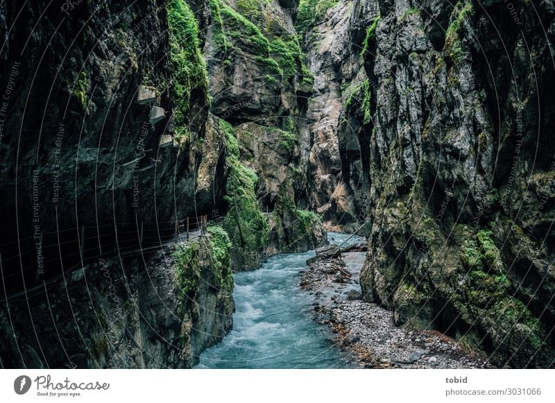 Reißender Fluß Fluss Schlucht Bach Felsenschlucht dunkel bedrohlich unheimlich reißend Moos Wellen Wasser Natur Partnachklamm Berge u. Gebirge fließen wild