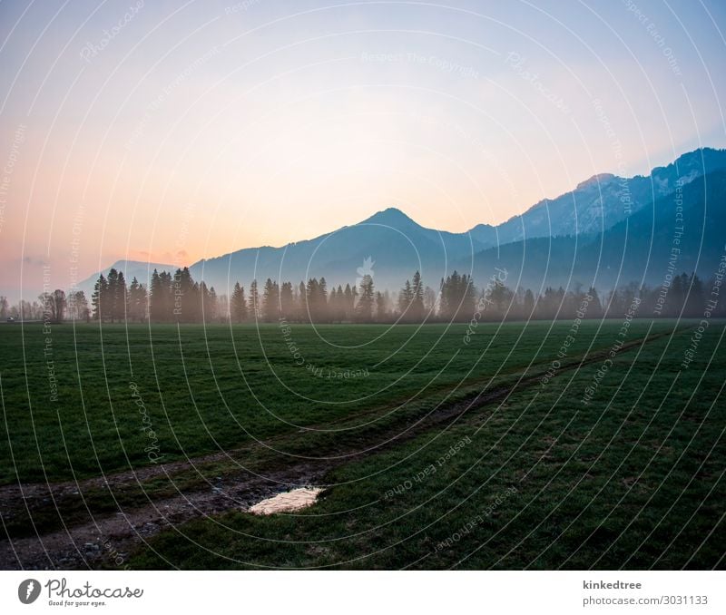 Bergdämmerung, Nebel in Bäumen, Feld, Eis in der Pfadpfütze Ferien & Urlaub & Reisen Tourismus Ausflug Abenteuer Ferne Schnee Berge u. Gebirge Natur Landschaft