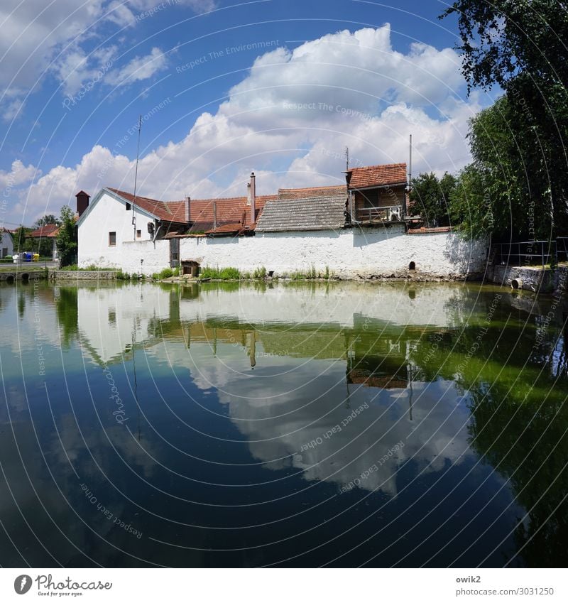 Wohnen am Wasser Himmel Wolken Sommer Schönes Wetter Baum Gras Sträucher Teich Haus Mauer Wand Fassade Fenster Dach leuchten einfach ruhig Idylle getüncht