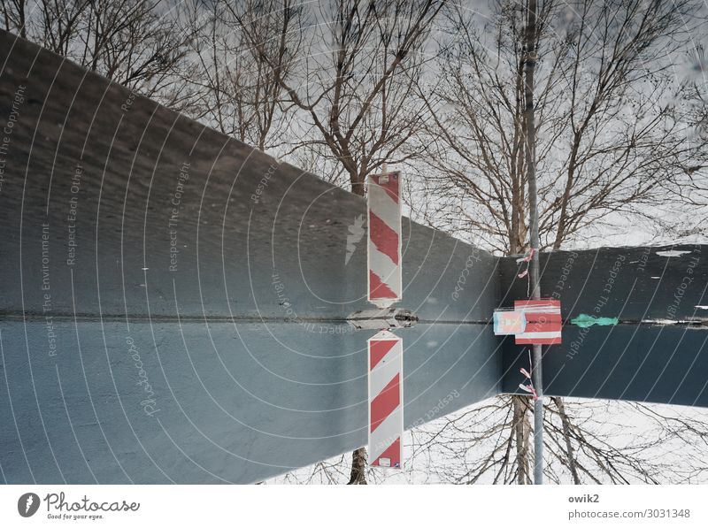 Wasserzeichen Baum Mauer Wand Verkehr Bake Parkplatz Hinweisschild Warnschild Verkehrszeichen stehen nass achtsam Wachsamkeit Vorsicht geduldig ruhig Identität