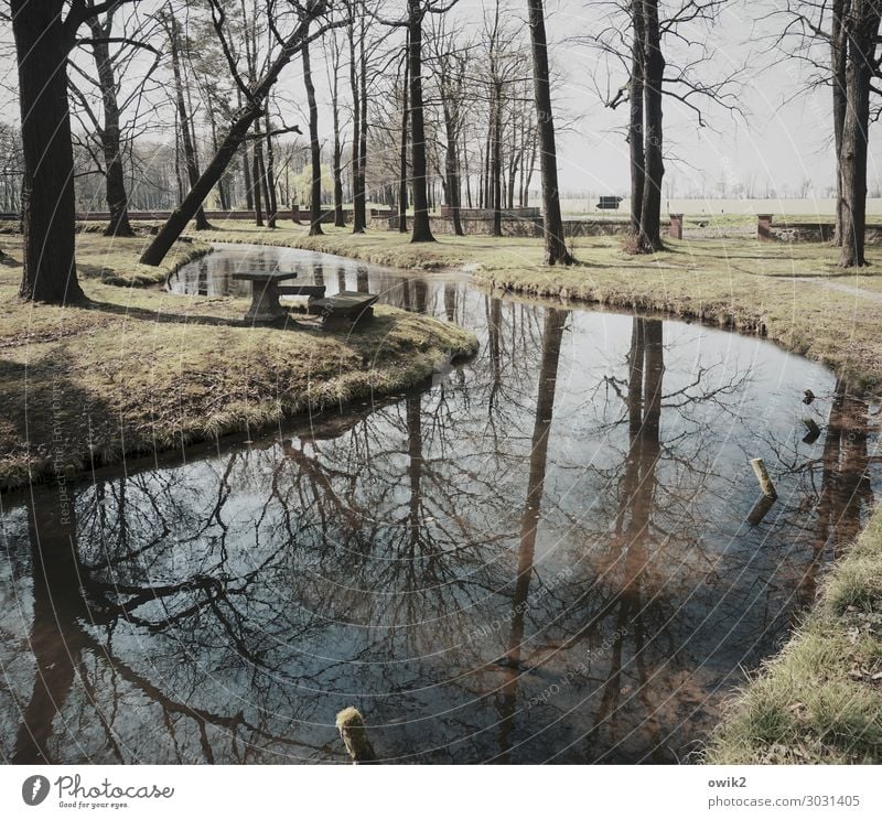 Nasse Kurve Umwelt Natur Landschaft Pflanze Wasser Winter Baum Gras Sträucher Park Wald Bach Idylle Ferne ruhig Windstille friedlich Zweige u. Äste Parkbank