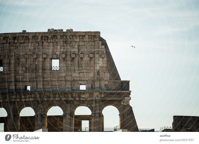 Around the World: Rom Mauer Wand Fassade Sehenswürdigkeit Wahrzeichen Denkmal Kolosseum außergewöhnlich Italien Tourismus Farbfoto Gedeckte Farben Außenaufnahme