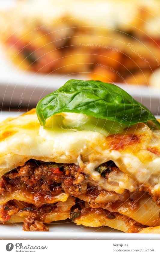 Nahaufnahme der Lasagne Fleisch Käse Mittagessen Abendessen Teller Holz frisch heiß Kitsch lecker Essen Italienisch Mahlzeit Pasta Gericht Basilikum