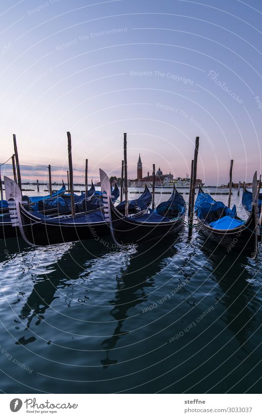 Around the World: Venedig Natur Wolkenloser Himmel Sonnenaufgang Sonnenuntergang Schönes Wetter ästhetisch außergewöhnlich Bekanntheit Gondel (Boot) Markusplatz