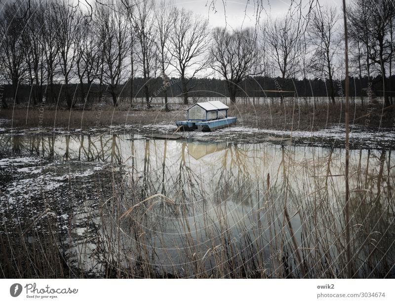 Regen, bitte Umwelt Natur Landschaft Pflanze Wasser Wolken schlechtes Wetter Baum Sträucher Küste Seeufer Teich geduldig Traurigkeit Sehnsucht Erwartung