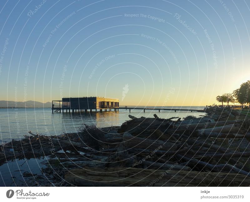 Bodensee Umwelt Natur Landschaft Wasser Himmel Wolkenloser Himmel Horizont Frühling Sommer Schönes Wetter Seeufer Treibholz Menschenleer Gebäude Architektur