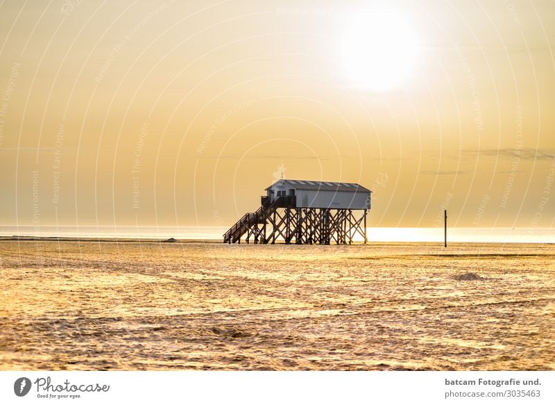 Strand in Sankt Peter Ording im Sonnenlicht mit Pfahlbauten spo Lifestyle Freizeit & Hobby Ferien & Urlaub & Reisen Tourismus Sommer Sommerurlaub Meer Frühling