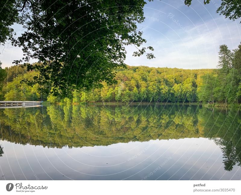 Talsperrenidyll I ruhig Natur Wasser Himmel Sommer Baum Wald Küste Erholung frisch natürlich blau grün Freizeit & Hobby Idylle Reflexion & Spiegelung Farbfoto