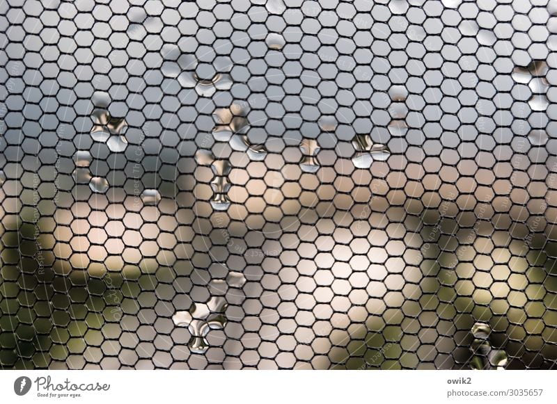 Verfangen Wassertropfen Fenster Gaze Fliegengitter hängen glänzend klein nah nass Unschärfe Verzerrung verschwimmen Farbfoto Gedeckte Farben Innenaufnahme