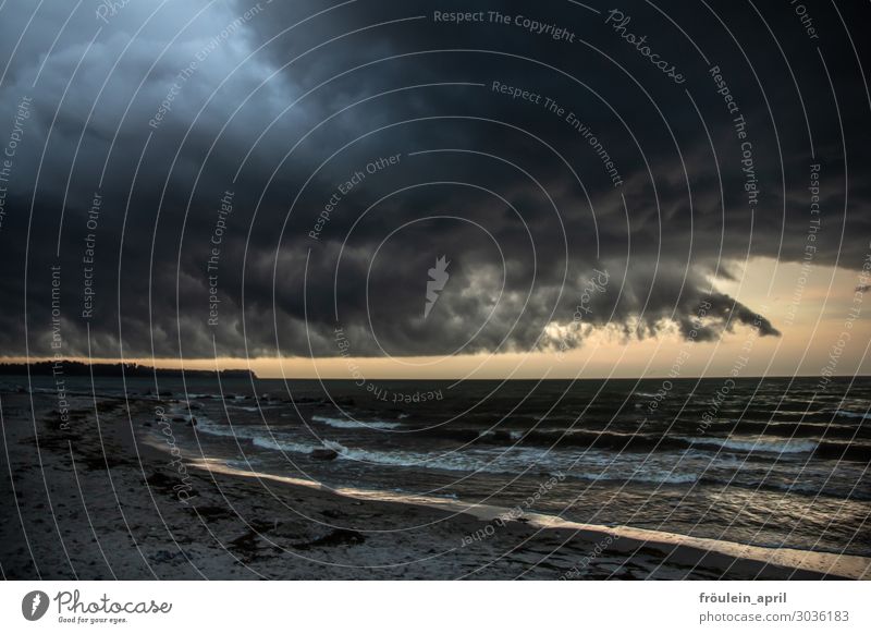 Sturmtief Nord-Nordost Sommer Strand Meer Wellen Natur Landschaft Sand Wasser Wolken Wetter schlechtes Wetter Unwetter Gewitter Küste Ostsee bedrohlich dunkel